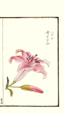 photo27.jpg