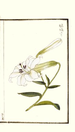 photo28.jpg