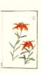 photo30_small.jpg