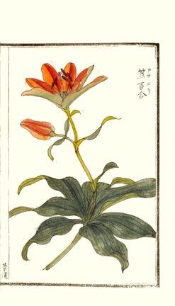 photo31.jpg