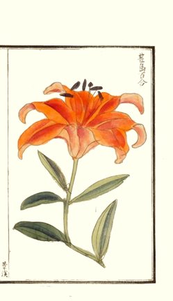 photo6.jpg