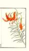 photo9_small.jpg