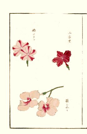 photo10.jpg