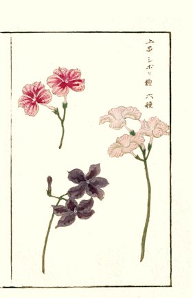 photo19.jpg