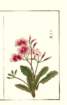 photo3_small.jpg