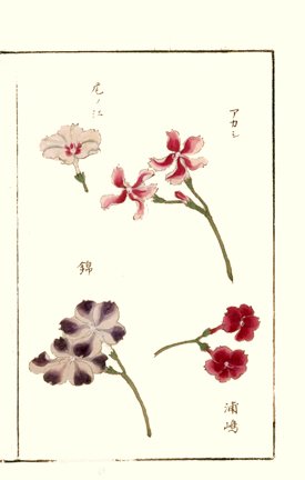 photo7.jpg