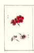 photo8_small.jpg