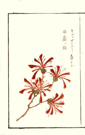 photo10.jpg