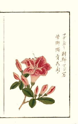 photo13.jpg