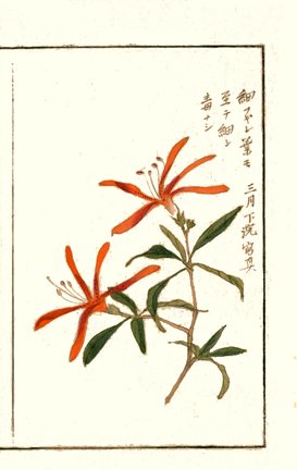 photo15.jpg