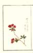 photo16_small.jpg