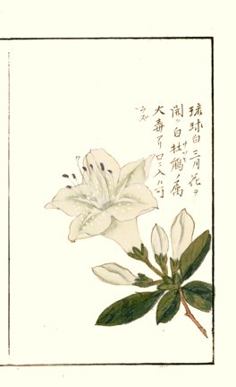 photo17.jpg