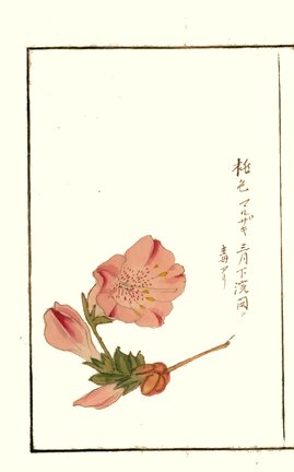 photo18.jpg