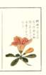 photo19_small.jpg