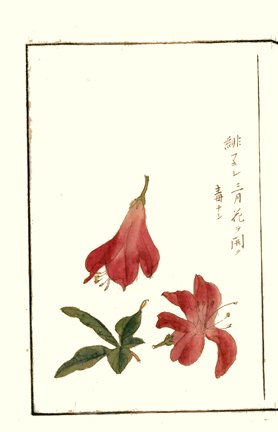 photo20.jpg