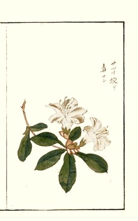 photo21.jpg