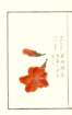 photo22_small.jpg