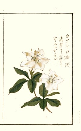 photo23.jpg