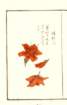 photo26_small.jpg