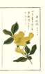 photo27_small.jpg