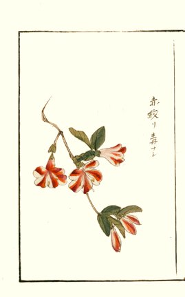 photo28.jpg