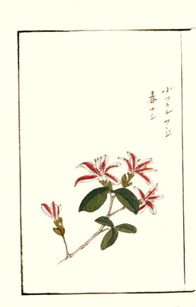 photo30.jpg