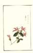 photo30_small.jpg