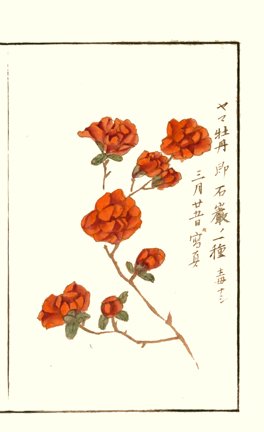photo31.jpg