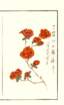photo31_small.jpg