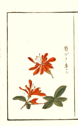 photo34.jpg