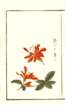 photo34_small.jpg