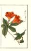 photo37_small.jpg