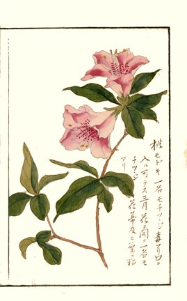 photo7.jpg