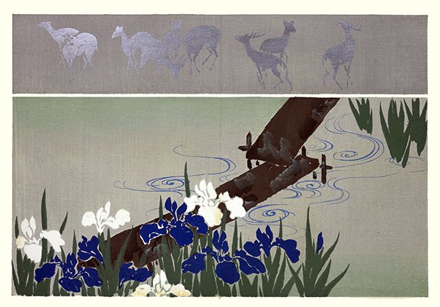 photo21.jpg