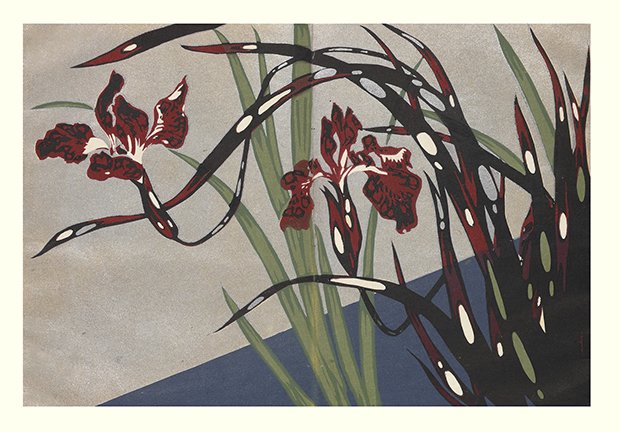 photo15.jpg