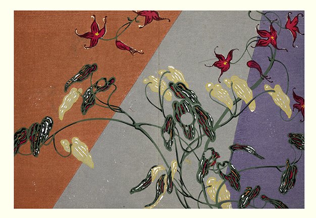 photo34.jpg
