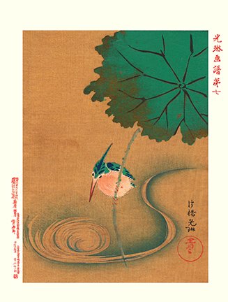 photo4.jpg
