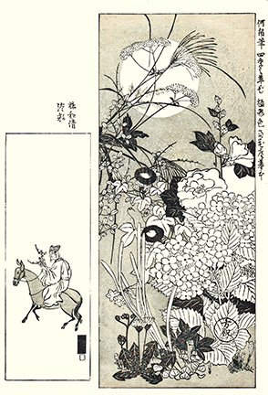photo.jpg