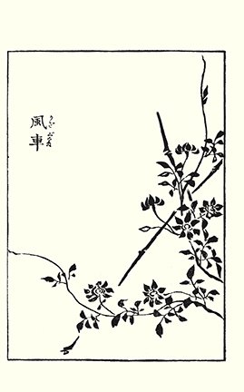 photo11.jpg