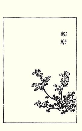 photo15.jpg