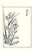 photo16_small.jpg