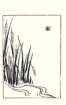 photo17_small.jpg