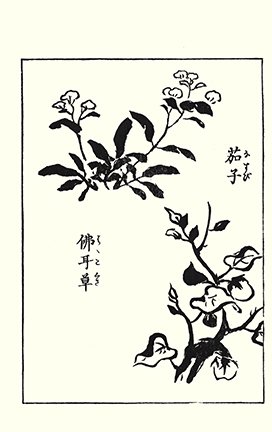 photo18.jpg