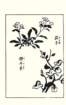 photo18_small.jpg