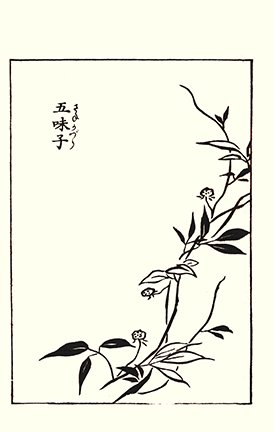 photo19.jpg