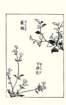 photo20_small.jpg