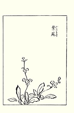 photo21.jpg