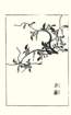 photo40_small.jpg