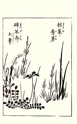 photo53.jpg