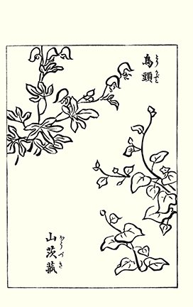 photo55.jpg